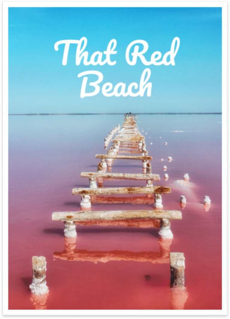 Book-12-Novelette (1)